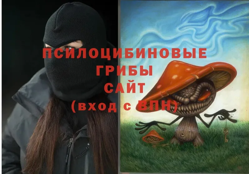 Псилоцибиновые грибы Psilocybe  Коммунар 